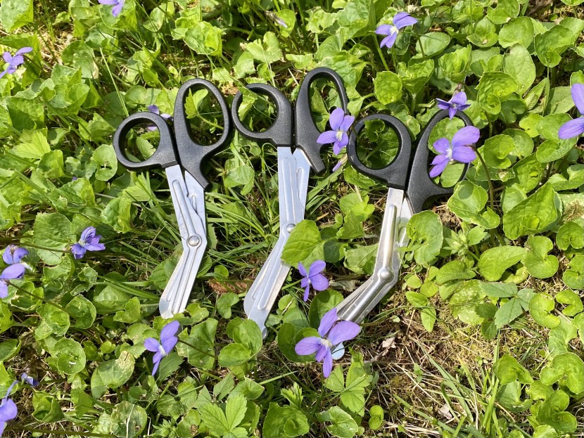 first aid kit - the quality of the scissors in small first aid kits tends to vary...