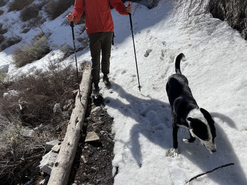 leki micro vario carbon - the micro vario carbon in action in idaho.