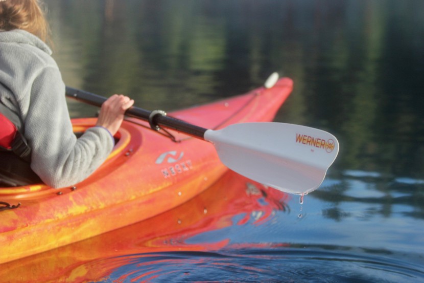 werner baja - the baja is  cheaper than some other paddles offering a similar...