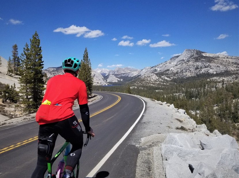 pro stealth carbon saddle - the comfort and performance for the price make this saddle a steal.