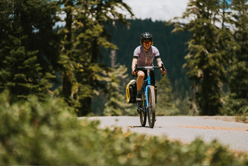 burley pannier set - the heavier load was tight and secure on road and gravel terrain.