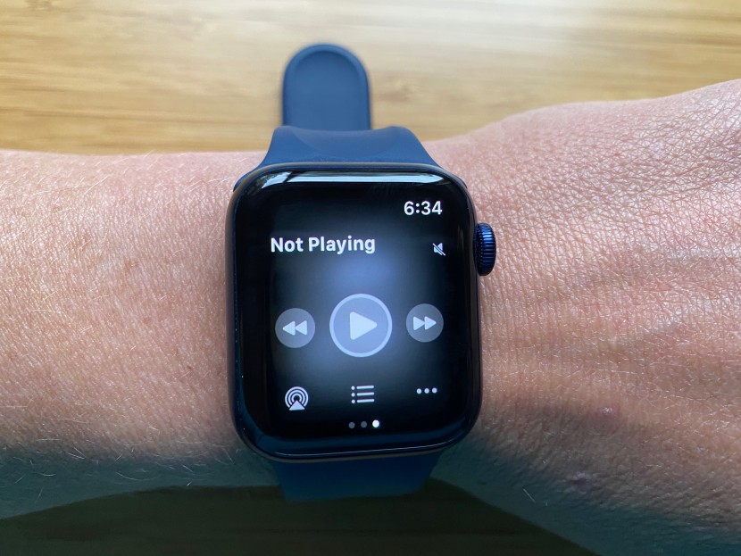 music control of your iphone is one of the many feature options.