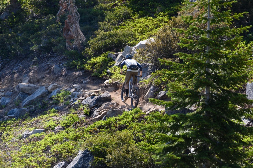 ibis ripley af deore - in or out of the saddle, the dw-link suspension platform is calm and...