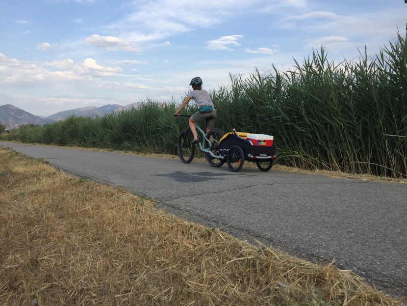 burley nomad - smooth rolling wheels and tight tolerances made for a quiet and...