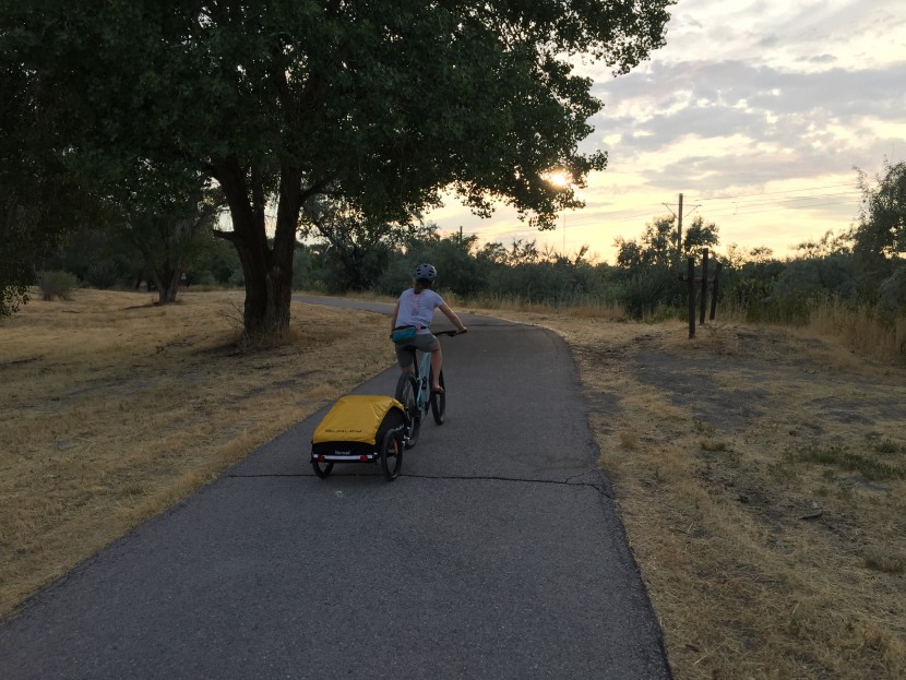 bike cargo trailer - if you're looking for a high-quality trailer that can do a bit of it...