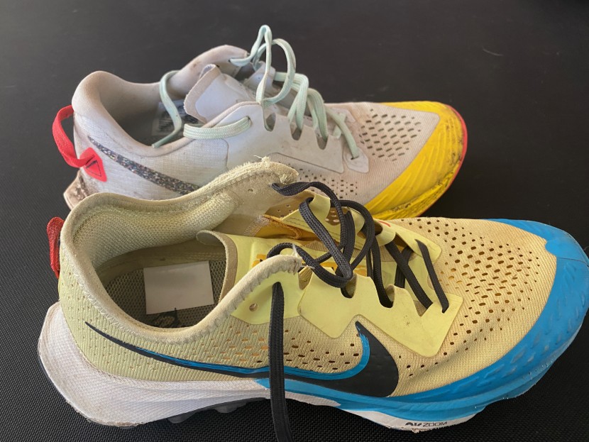 test nike terra kiger