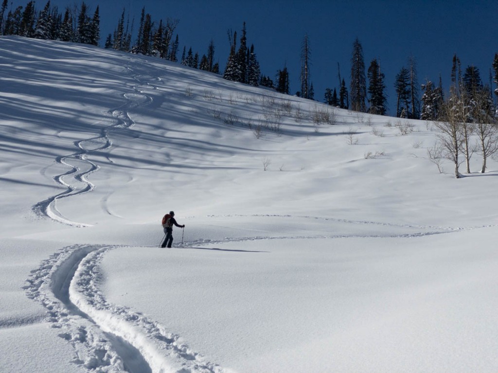 marker duke pt 13 - you won't use these bindings for extensive uphill travel. for...