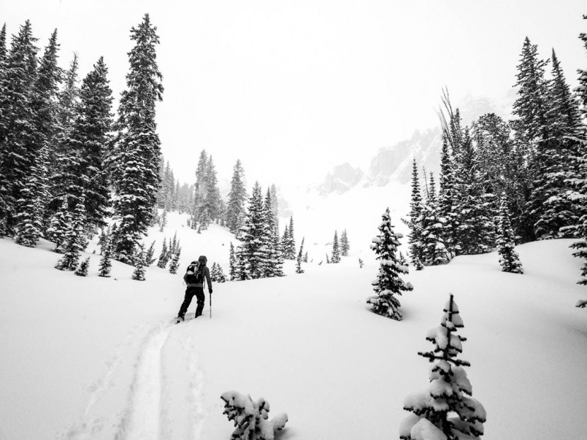 dynafit tlt speed - deep powder snow in mellow terrain; this is what the tlt speed is...