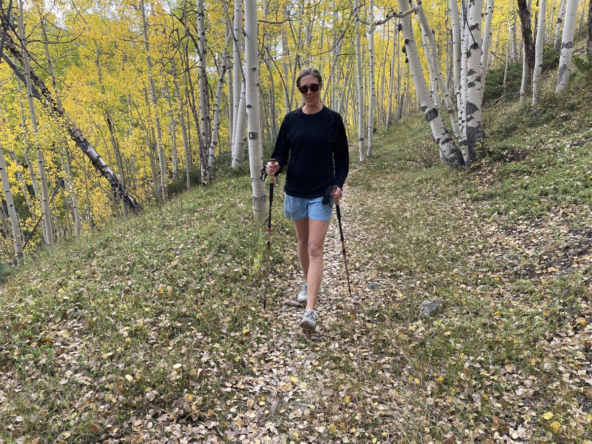 REI Co-op Traverse Trekking Poles Review (The REI Traverse is a solid and durable trekking pole for most hikers.)