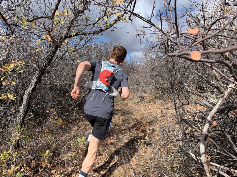 ultimate direction race vest 5.0 - external storage is always a plus for when you need extra space or...