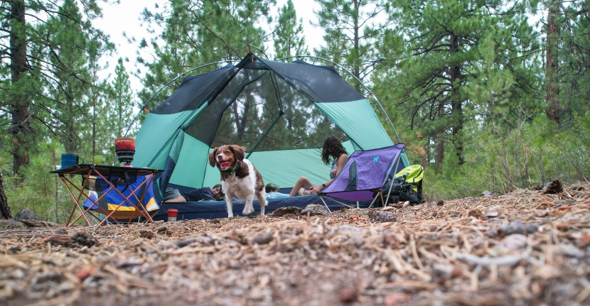 kelty wireless 6 - tip to tail, this tent packs just enough of what you need in an...