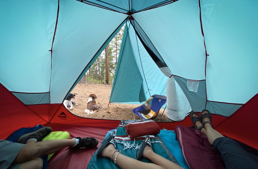 msr habitude 4 - happy campers looking out at happy dogs. a great view thanks to the...