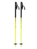 backcountry ski poles