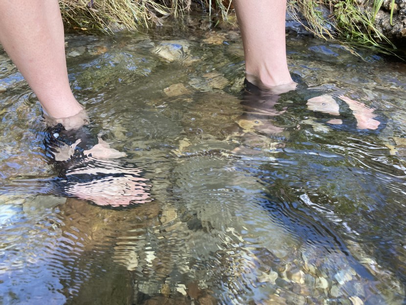 chaco z/1 classic - even fully submerged, these sandals handle the slippery surface well.