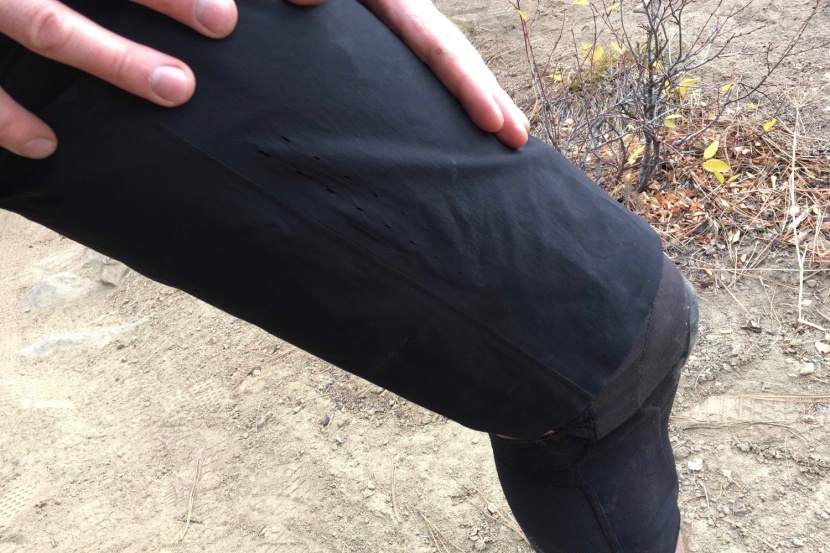 100% celium shorts - the length of the celium shorts ensures that they work well with...