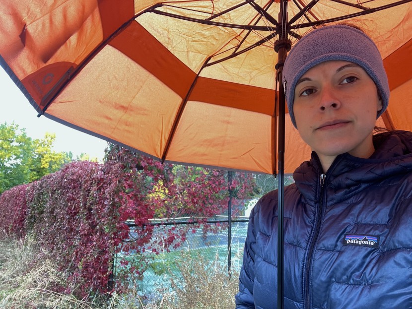 weatherman collapsible - the weatherman collapsible was also fairly bright in the sun, but...