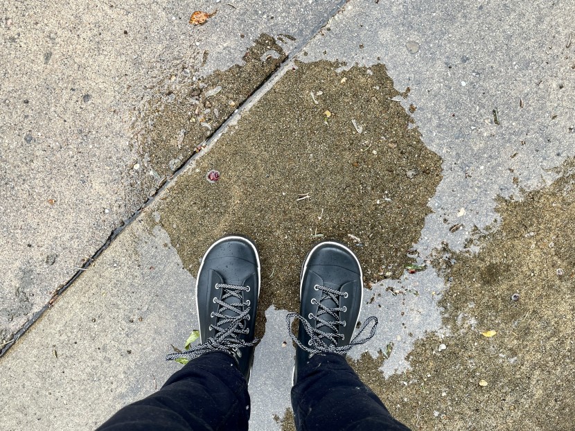 rocket dog rainy black for women - this pair will certainly get from you a to b, as long as you stay...