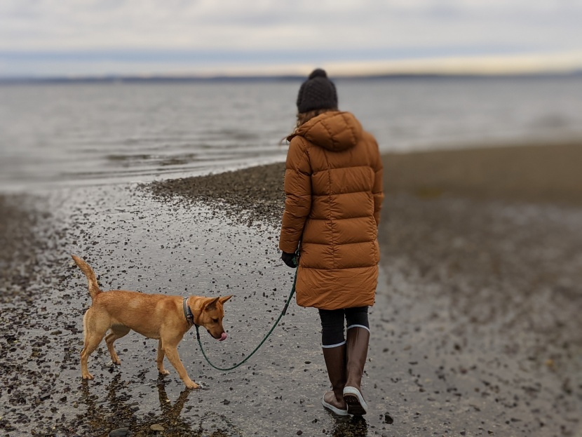 rei co-op norseland insulated parka - this jacket withstood quite a few dog scratches and bushwhacks...