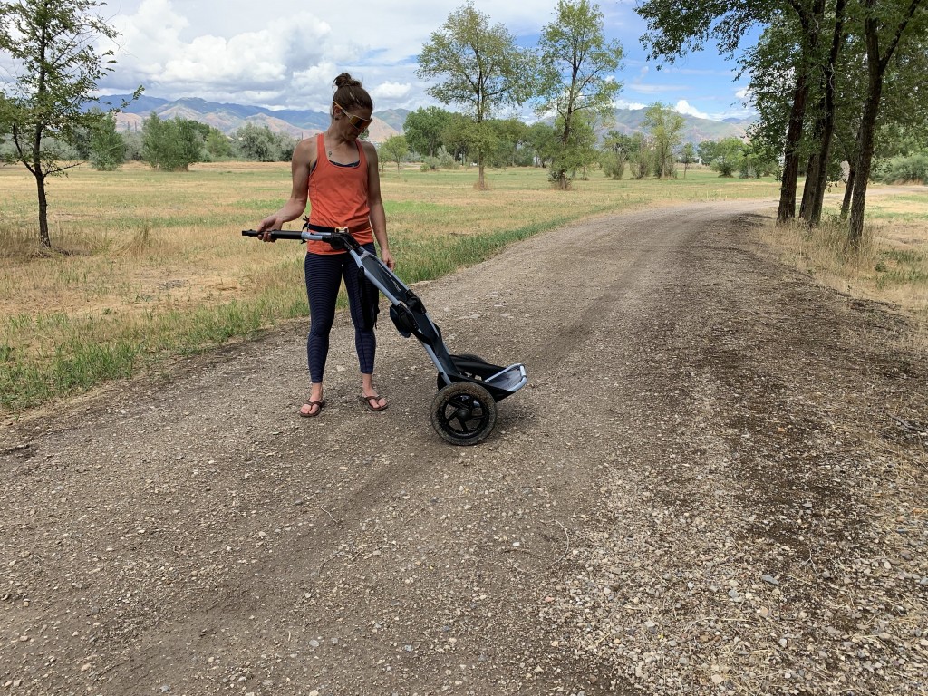 burley travoy - able to roll into the grocery store and haul oddly shaped items with...