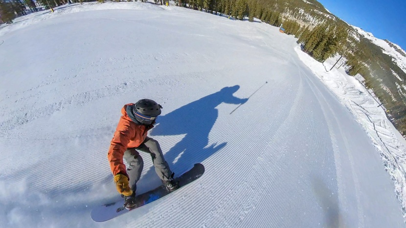 never summer proto synthesis - carving corduroy on the proto synthesis.