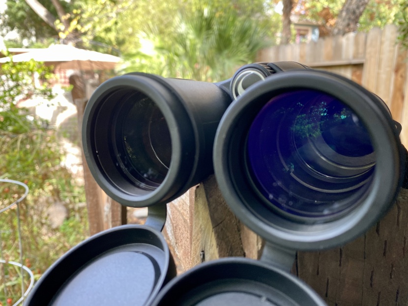 celestron trailseeker ed 8x42 - the glass in these binoculars is good, but not best of class.