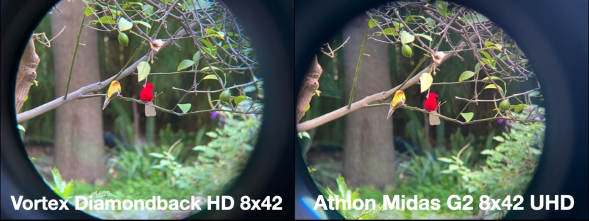 athlon midas g2 8x42 uhd - the athlon midas g2 provides good clarity and brightness, but some...
