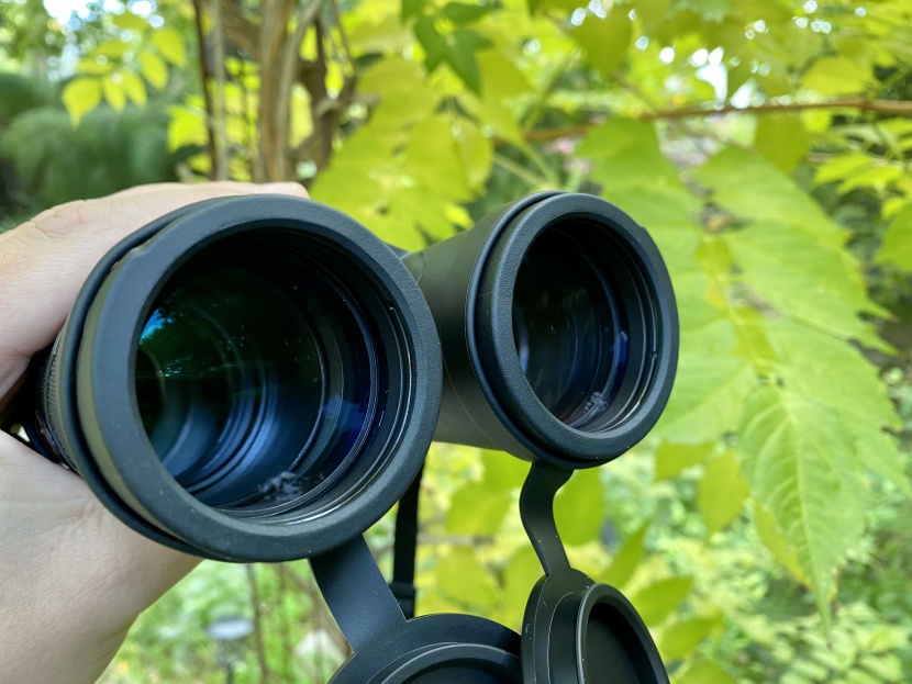 athlon midas g2 8x42 uhd - the glass of the athlon midas g2 is good, but doesn't let in as much...