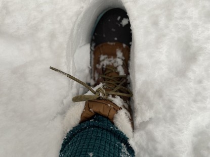 Product photo of The North Face Shellista IV Mid