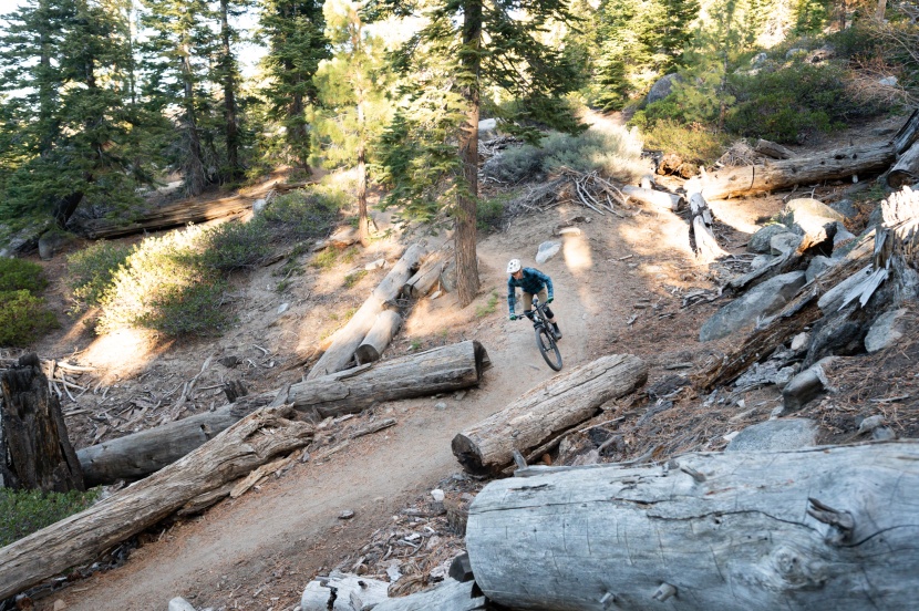 marin rift zone 29 2 - we found the rift zone to be easy to get along with and it performed...