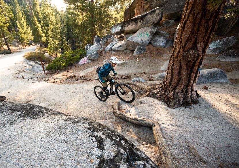 marin rift zone 29 2 - this bike brings a lot of value to the table. we think it's a great...