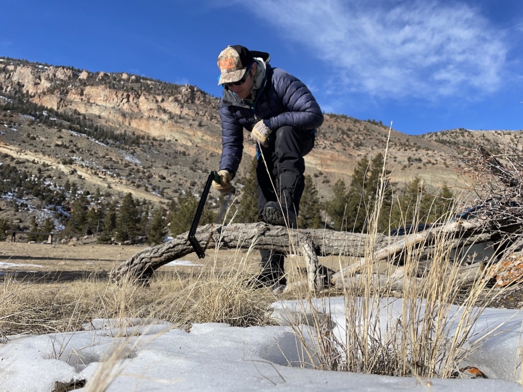 folding saw - the agawa boreal is quick and easy to assemble and disassemble...