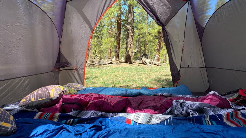big agnes bunk house 6 - the view from inside with the door open.