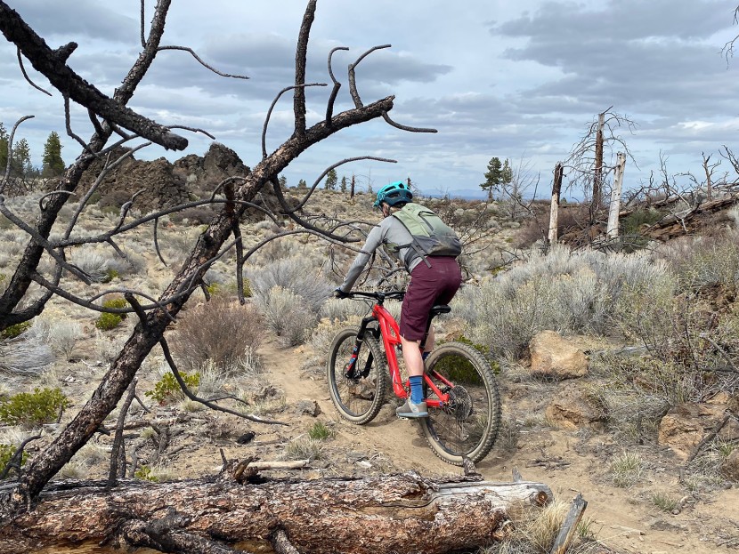 yeti cycles norrie - the 13 1/2 inch inseam on the yeti norrie provides ample protection...