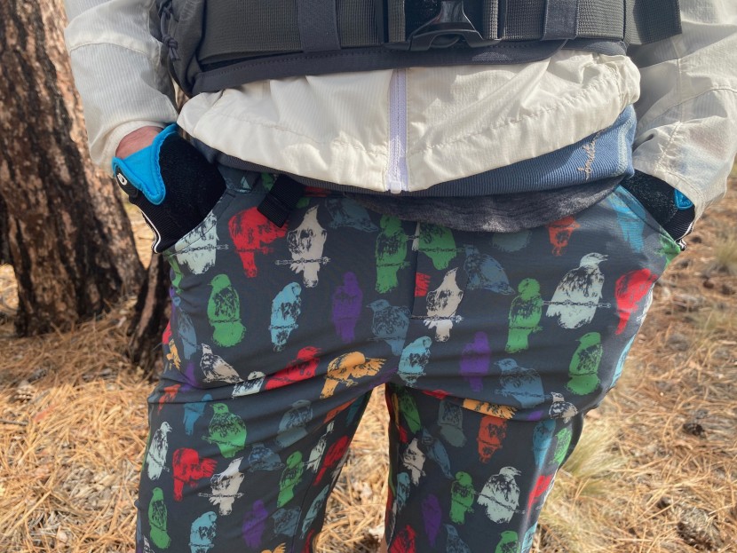 pearl izumi summit shell short women's - hand pockets in the summit short.