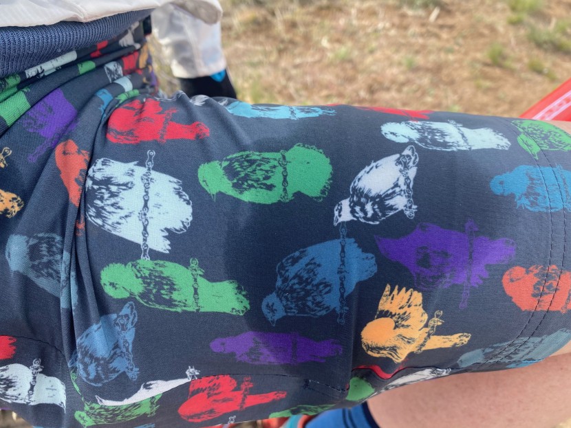 pearl izumi summit shell short women's - the summit short is not at all water-resistant.