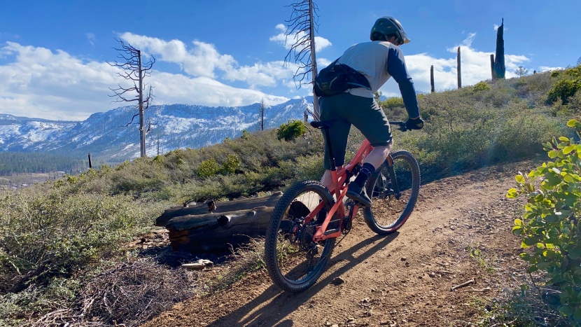 specialized ground control grid t7 - if you're after a lightweight and fast-rolling tire that doesn't...