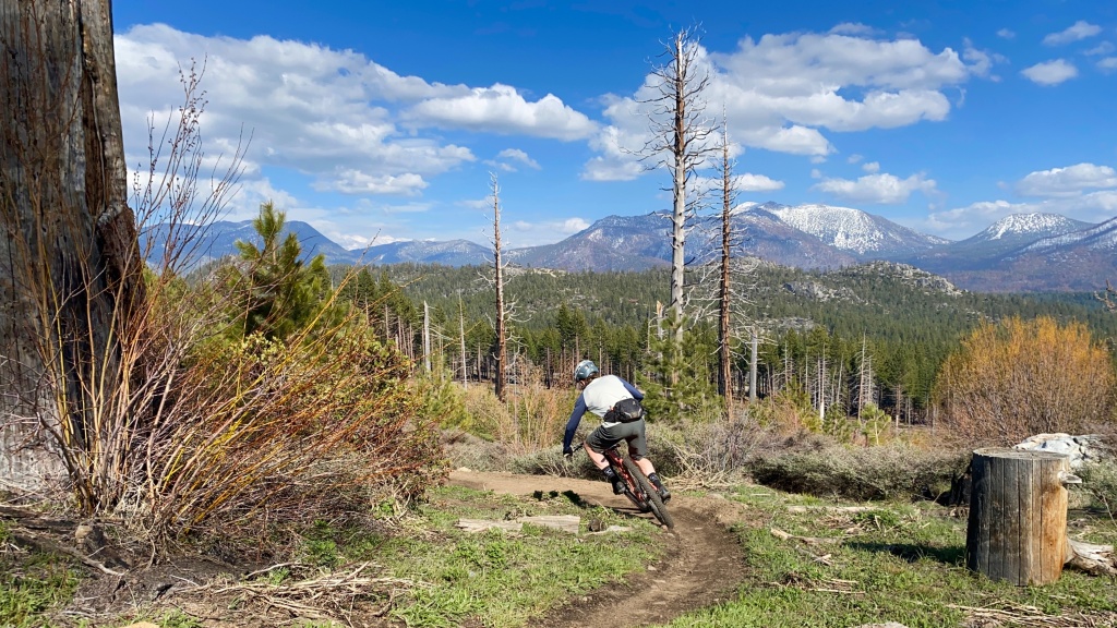 vittoria syerra - the syerra is an awesome tire in the right conditions.
