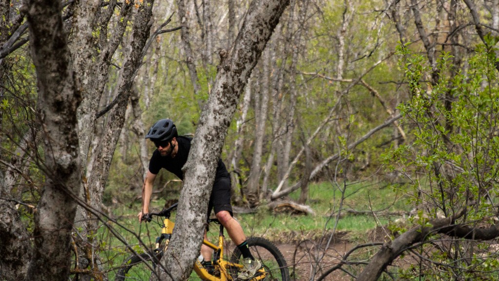 specialized ambush 2 - with a cheaper price than the original ambush, we think there's a...