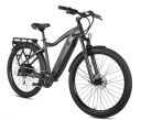 Electric Bikes