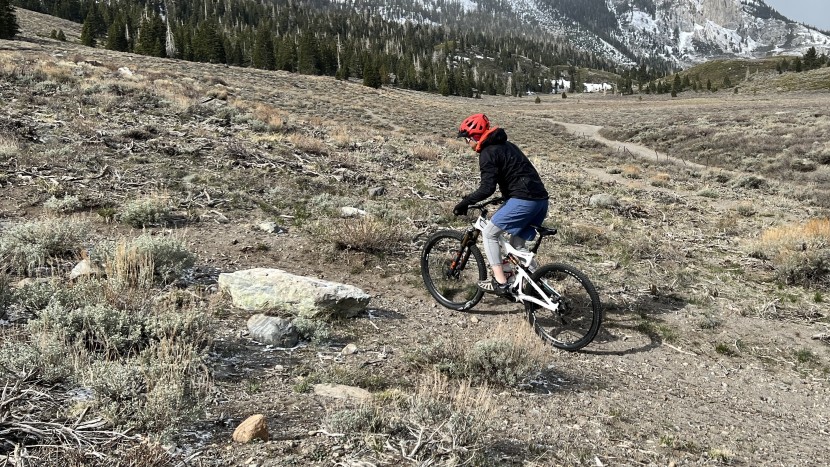 patagonia dirt roamer - getting off the saddle and riding steep uphills often leaves us...