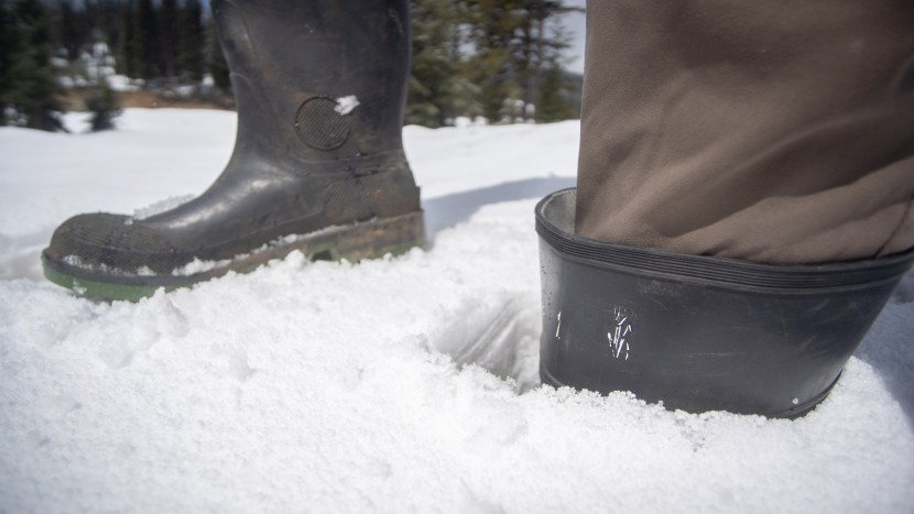 baffin enduro - while the baffin enduro isn't insulated, they can get the job done...