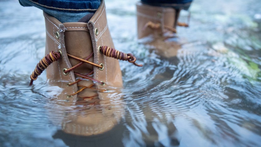 ll bean 8" gore-tex/thinsulate - if they're your style, we're confident you'll like how these boots...