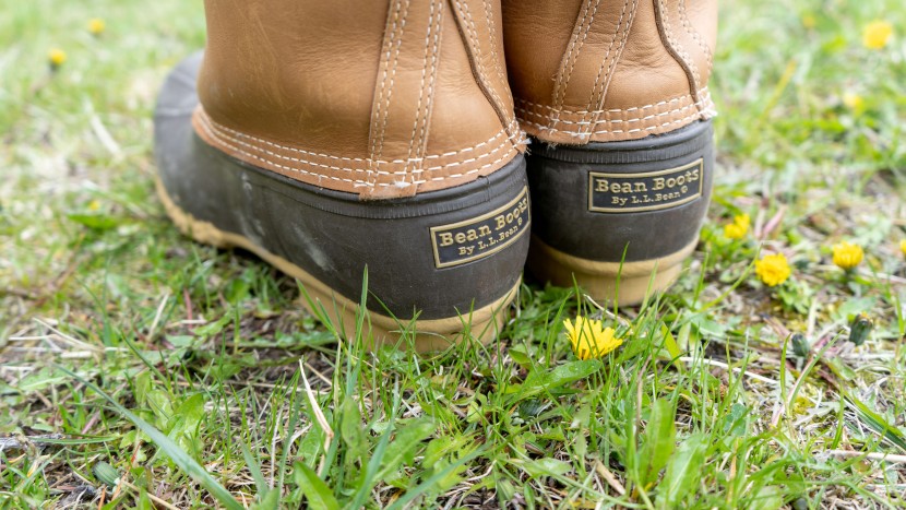 ll bean 8" gore-tex/thinsulate - for boots handmade in the us, these are well worth the price.