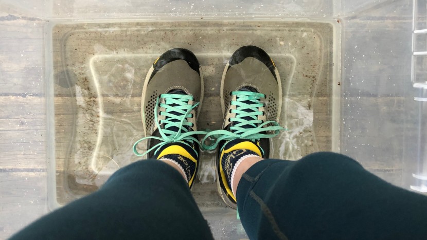 danner trail 2650 for women - within a minute the trail 2650's were fully wet. as long as you...