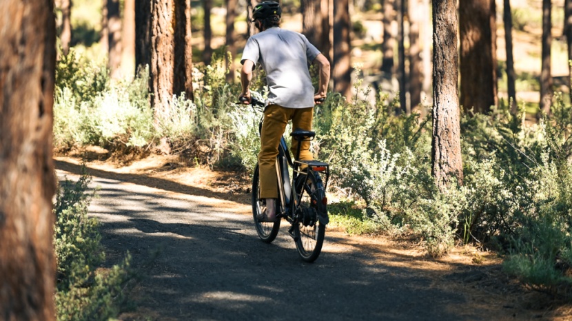 rad power radcity 5 plus - the 750w motor is powerful with great acceleration and it helps make...