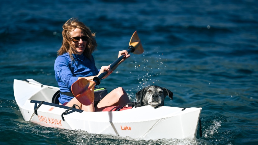 water gear - though it's a tight fit, we paddled this kayak-loving 80+ pound dog...