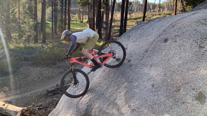 wtb vigilante 2.5 &amp; 2.6 - the vigilante does very well on the brakes. it grips firm surfaces...