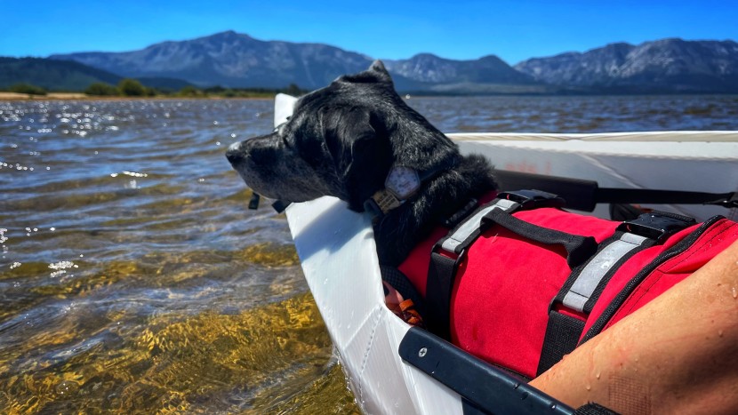 oru lake - the added weight of this pooch helped to stabilize the oru lake on...