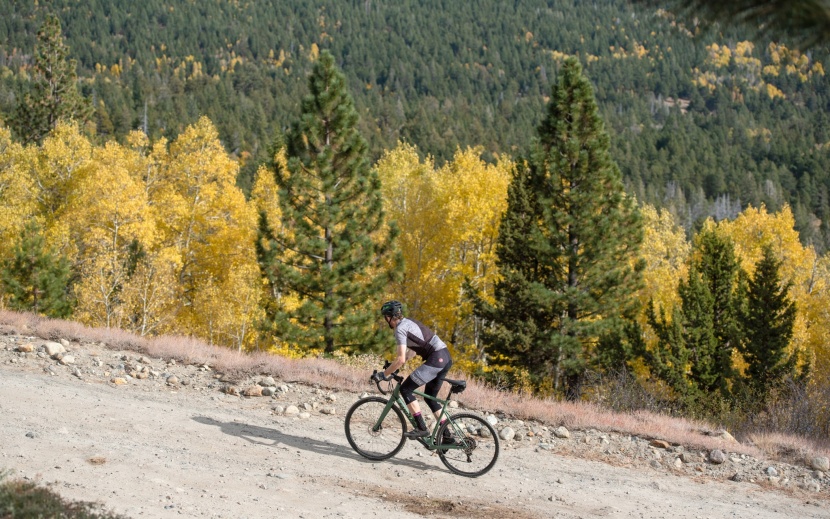 gravel bike - will you be lining up for races or pedaling for fun, fitness, or...