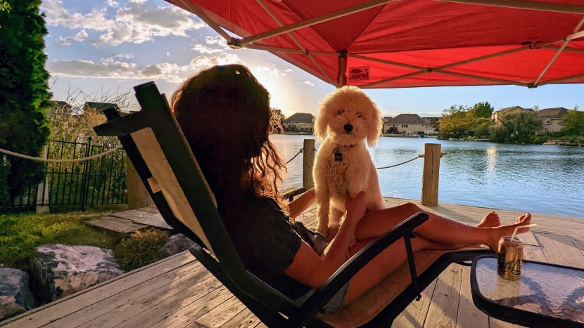 eurmax standard 10x10 - the eurmax is our favorite canopy tent because of its impeccable...